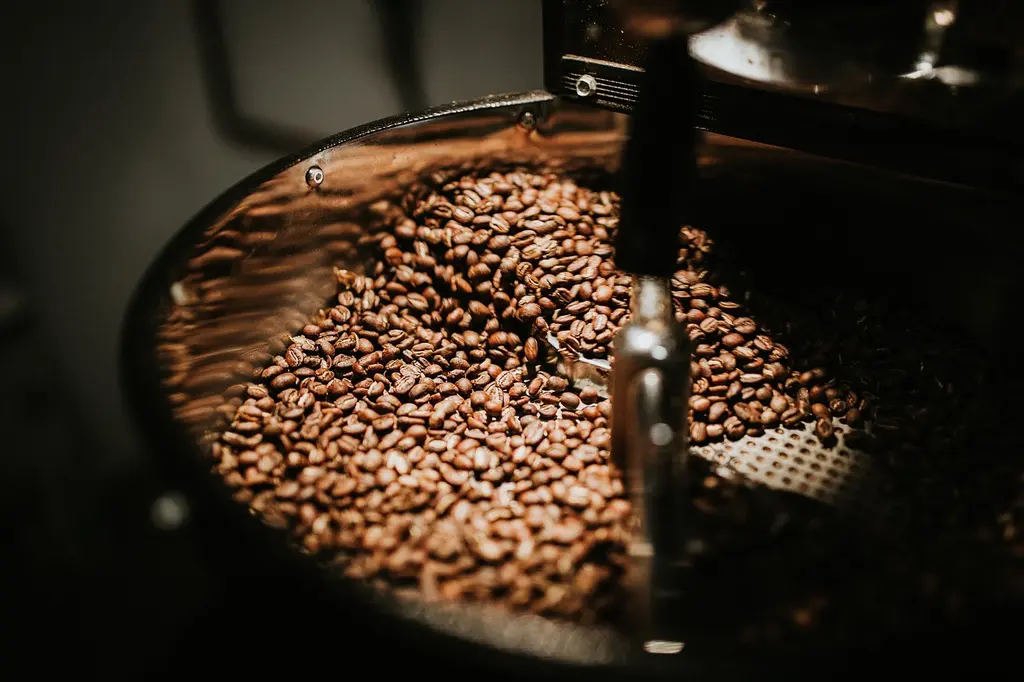 Introducción Básica al Café de Especialidad